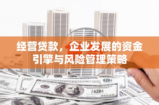 越城经营贷款，企业发展的资金引擎与风险管理策略