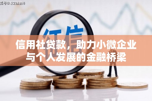 邓州信用社贷款，助力小微企业与个人发展的金融桥梁