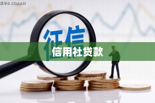 华阴信用社贷款