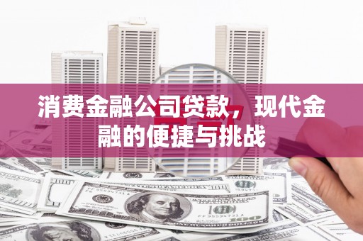饶河消费金融公司贷款，现代金融的便捷与挑战