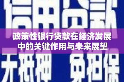 前镇政策性银行贷款在经济发展中的关键作用与未来展望