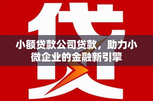 定远小额贷款公司贷款，助力小微企业的金融新引擎