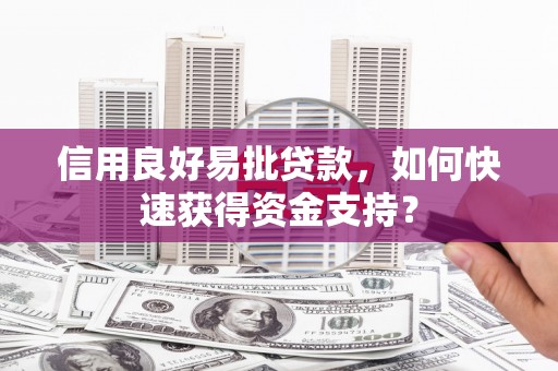 洛宁信用良好易批贷款，如何快速获得资金支持？