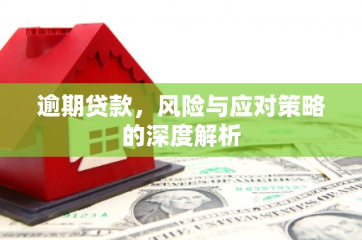 左镇逾期贷款，风险与应对策略的深度解析