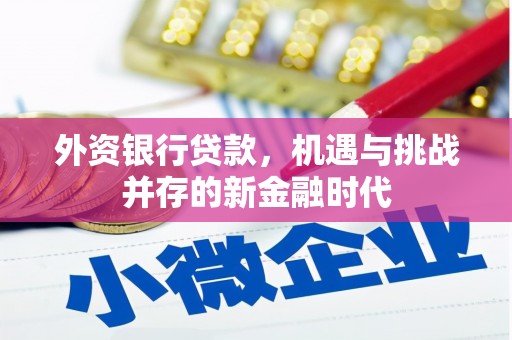 香格里拉外资银行贷款，机遇与挑战并存的新金融时代