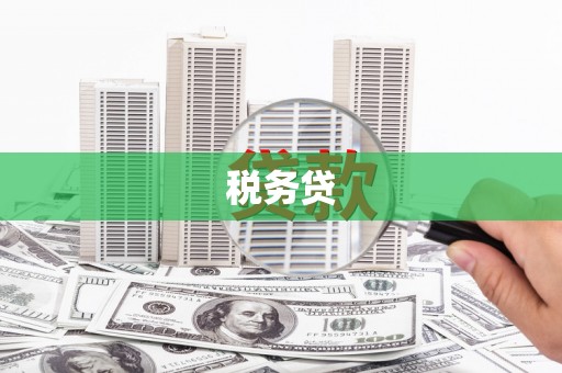 林西税务贷