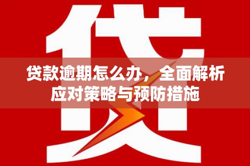 凤城贷款逾期怎么办，全面解析应对策略与预防措施