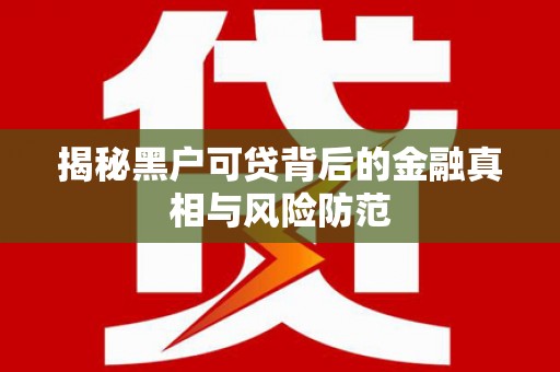 巴里坤揭秘黑户可贷背后的金融真相与风险防范