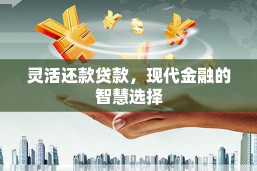 岳塘灵活还款贷款，现代金融的智慧选择