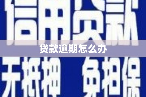 三河贷款逾期怎么办