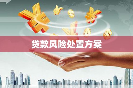 盈江贷款风险处置方案