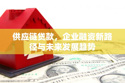 巩义供应链贷款，企业融资新路径与未来发展趋势