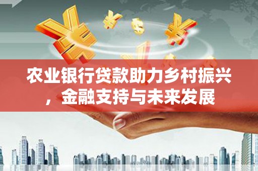 施甸农业银行贷款助力乡村振兴，金融支持与未来发展