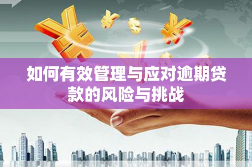 太仆寺旗如何有效管理与应对逾期贷款的风险与挑战