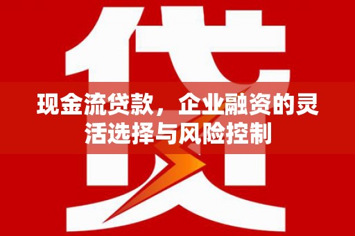 肃南现金流贷款，企业融资的灵活选择与风险控制