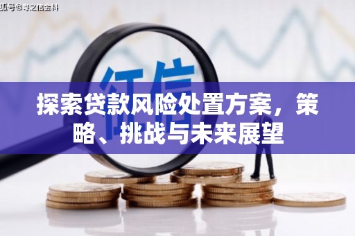 九台探索贷款风险处置方案，策略、挑战与未来展望