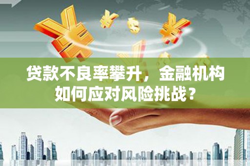嘉祥贷款不良率攀升，金融机构如何应对风险挑战？