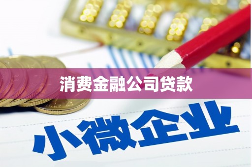 漳州消费金融公司贷款