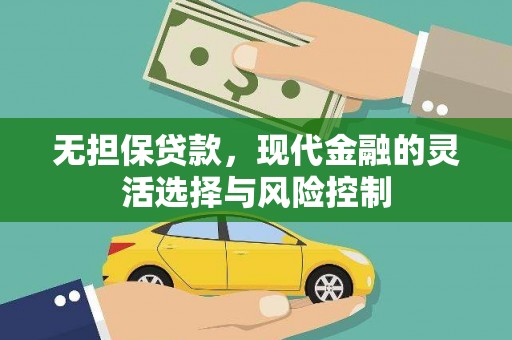 天元无担保贷款，现代金融的灵活选择与风险控制