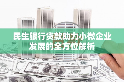 三亚民生银行贷款助力小微企业发展的全方位解析