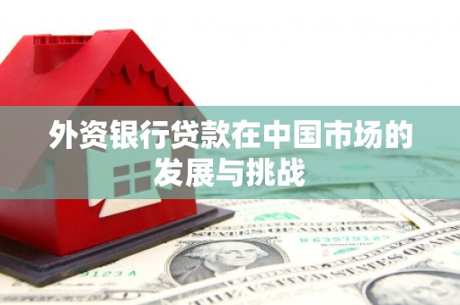 南宫外资银行贷款在中国市场的发展与挑战