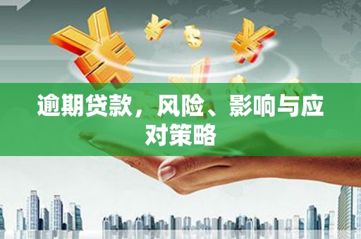 沂源逾期贷款，风险、影响与应对策略
