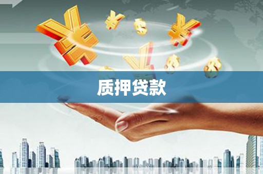 成县质押贷款