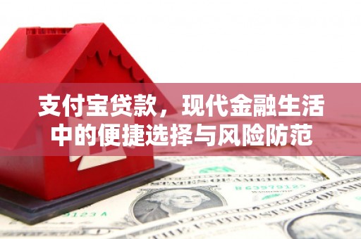 达孜支付宝贷款，现代金融生活中的便捷选择与风险防范