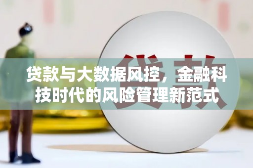 镇赉贷款与大数据风控，金融科技时代的风险管理新范式