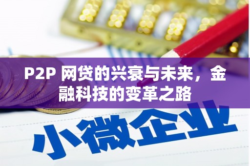 潢川P2P 网贷的兴衰与未来，金融科技的变革之路