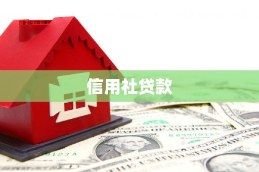壮围信用社贷款