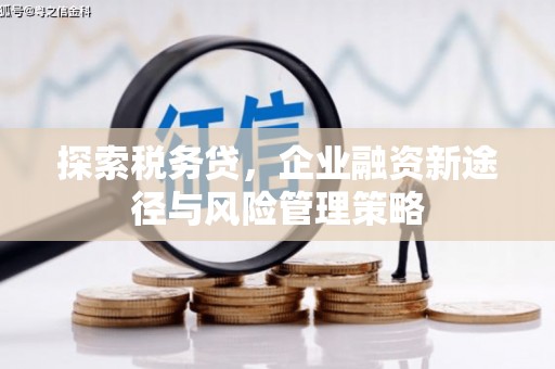 兰州探索税务贷，企业融资新途径与风险管理策略