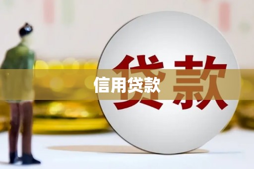 那玛夏信用贷款