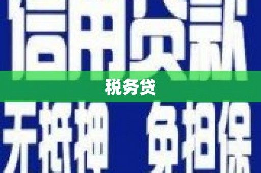 温宿税务贷