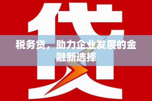 临西税务贷，助力企业发展的金融新选择