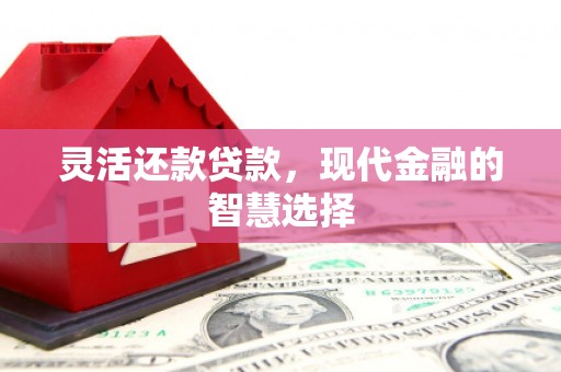 镇赉灵活还款贷款，现代金融的智慧选择