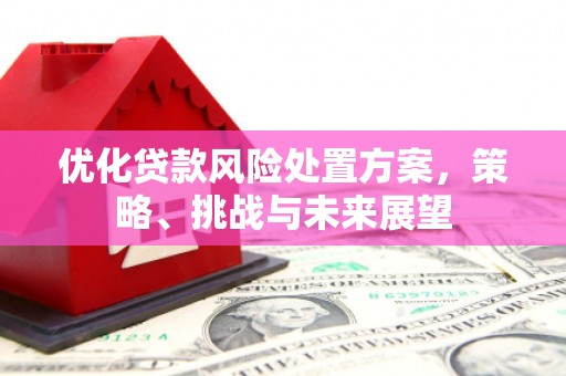 铜山优化贷款风险处置方案，策略、挑战与未来展望