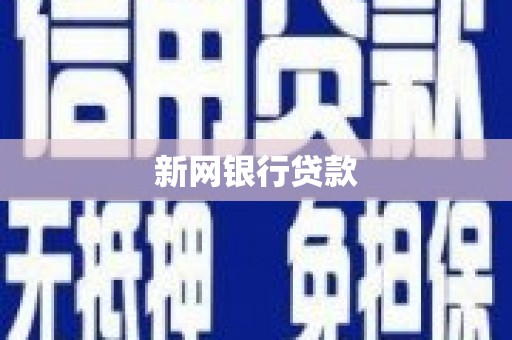 庐江新网银行贷款