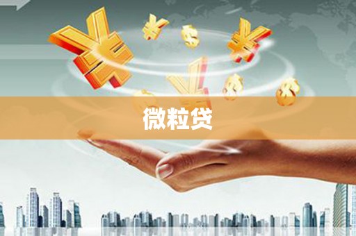 仁寿微粒贷