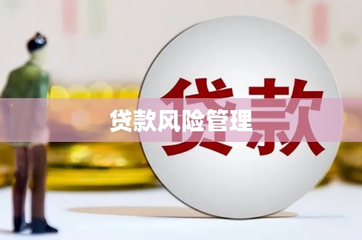 青铜峡贷款风险管理