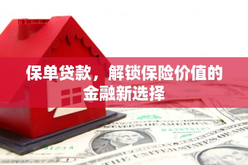 佛坪保单贷款，解锁保险价值的金融新选择