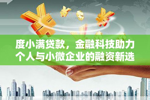 保德度小满贷款，金融科技助力个人与小微企业的融资新选择