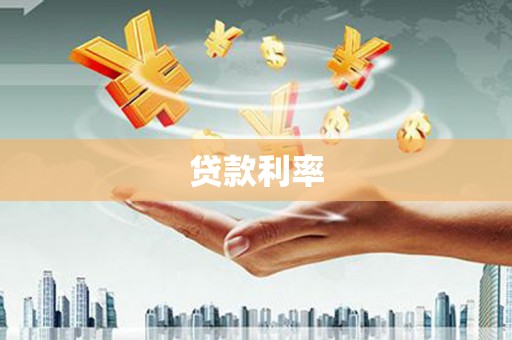 新安贷款利率