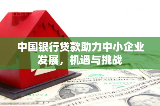 林西中国银行贷款助力中小企业发展，机遇与挑战