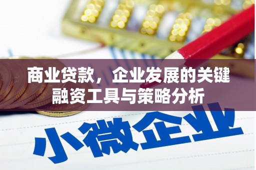 巍山商业贷款，企业发展的关键融资工具与策略分析