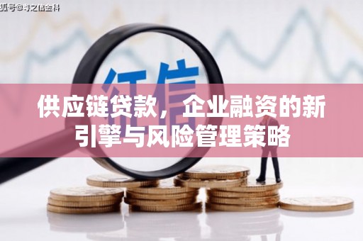 巩义供应链贷款，企业融资的新引擎与风险管理策略
