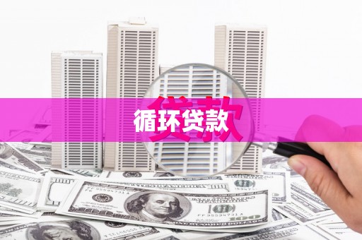 河池循环贷款