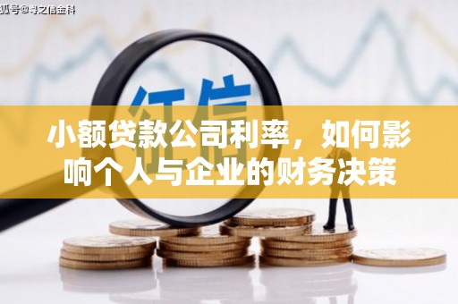 无极小额贷款公司利率，如何影响个人与企业的财务决策