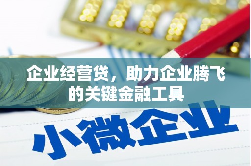 荔湾企业经营贷，助力企业腾飞的关键金融工具
