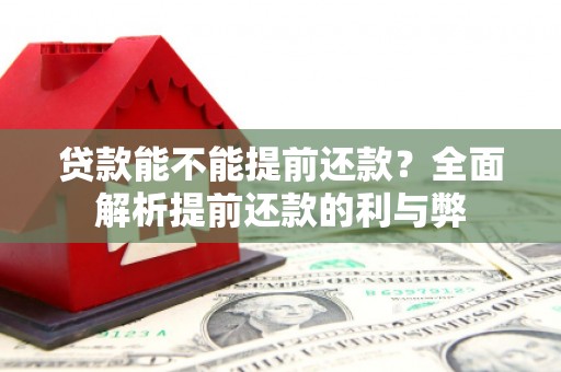 宿豫贷款能不能提前还款？全面解析提前还款的利与弊